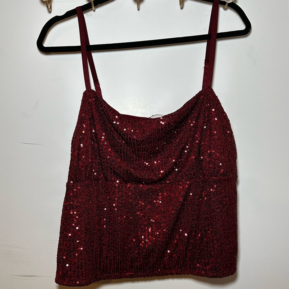 No Boundaries Sparkling Red Camisole